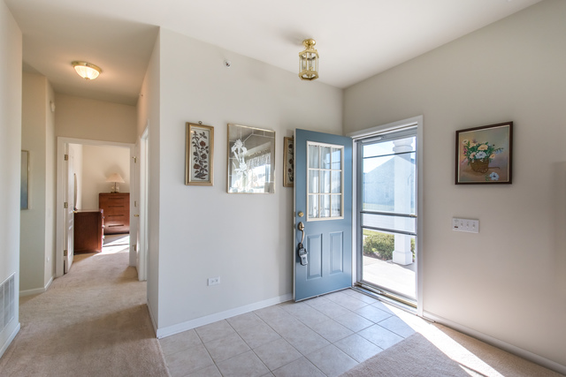 13302 Red Alder Ave, Huntley, IL 60142 photo 5