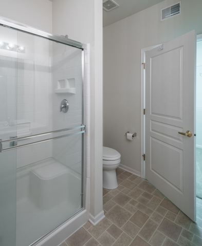 13302 Red Alder Ave, Huntley, IL 60142 photo 17