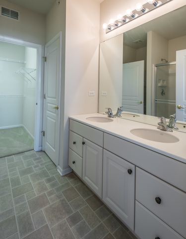 13302 Red Alder Ave, Huntley, IL 60142 photo 16