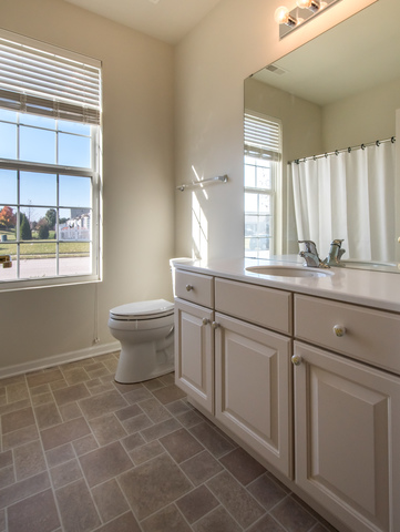 13302 Red Alder Ave, Huntley, IL 60142 photo 10