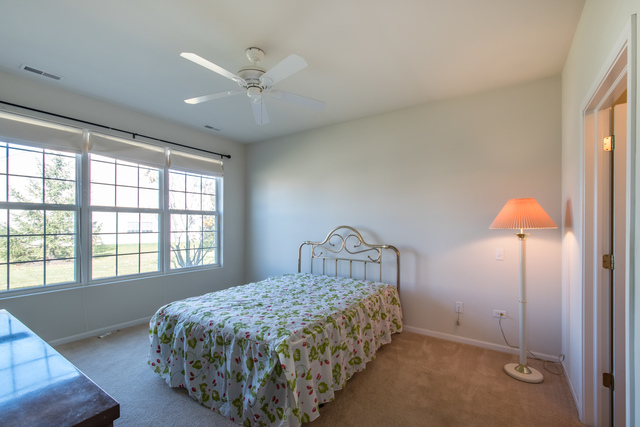 13302 Red Alder Ave, Huntley, IL 60142 photo 13