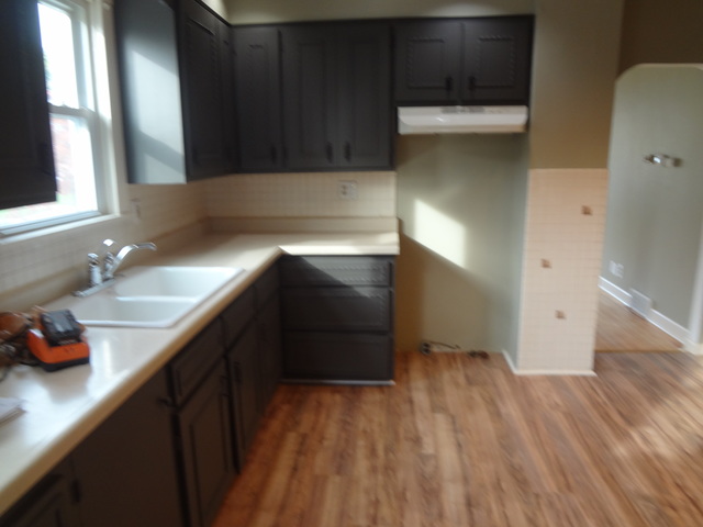 681 Chester Ave, Elgin, IL 60120 photo 8