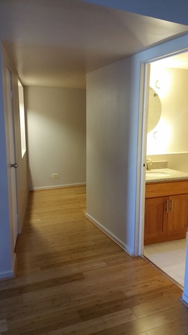 40 E 9th St #811, Chicago, IL 60605 photo 10