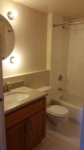 40 E 9th St #811, Chicago, IL 60605 photo 16