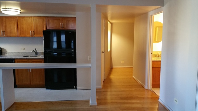 40 E 9th St #811, Chicago, IL 60605 photo 11