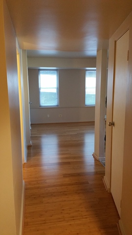 40 E 9th St #811, Chicago, IL 60605 photo 13