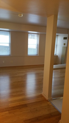 40 E 9th St #811, Chicago, IL 60605 photo 12