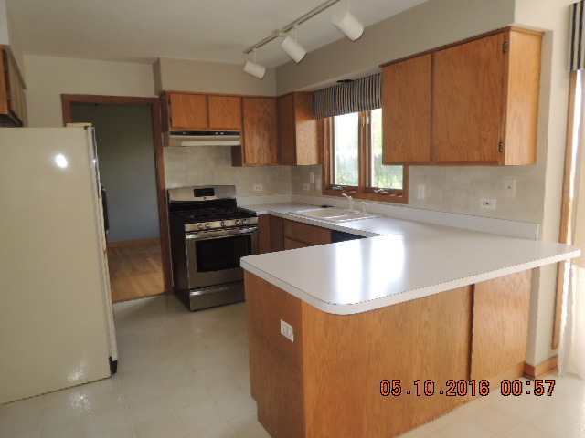 468 Aster Ln, Bartlett, IL 60103 photo 6