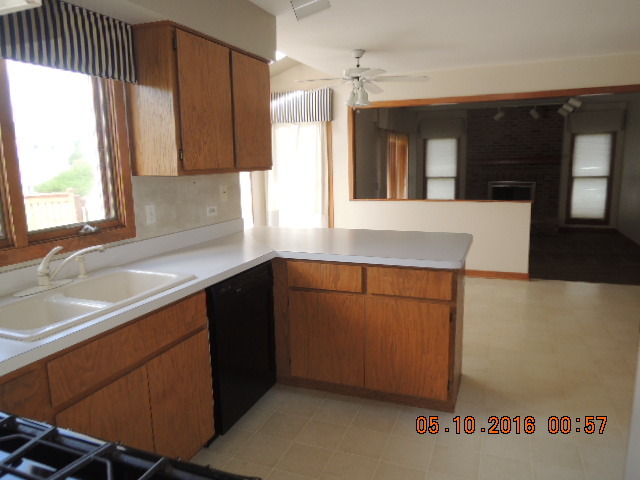 468 Aster Ln, Bartlett, IL 60103 photo 5