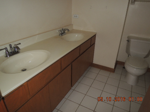 468 Aster Ln, Bartlett, IL 60103 photo 13
