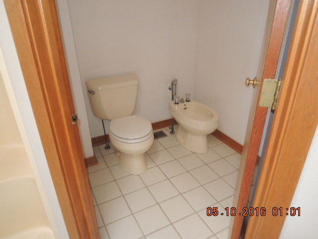 468 Aster Ln, Bartlett, IL 60103 photo 18