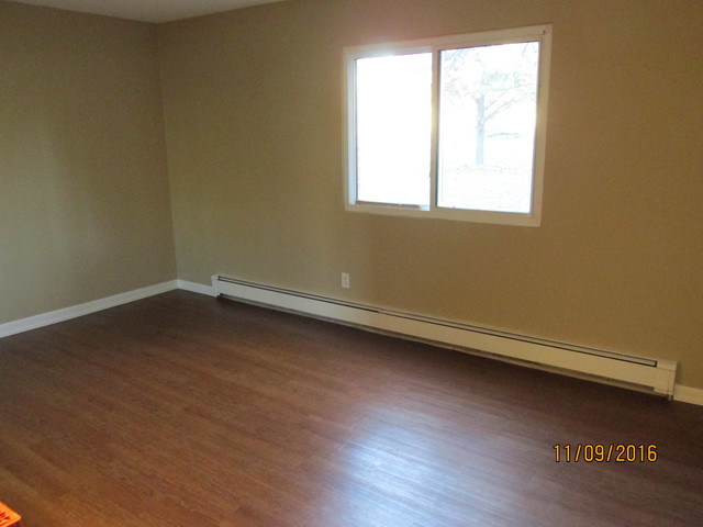19360 Wolf Rd #4, Mokena, IL 60448 photo 12