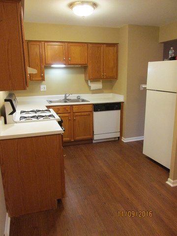 19360 Wolf Rd #4, Mokena, IL 60448 photo 9