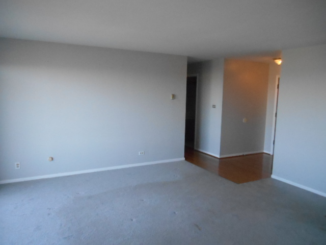 7 E Carriageway Dr #407, Hazel Crest, IL 60429 photo 4