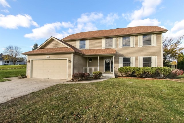 221 Wilcox Dr, Bartlett, IL 60103 photo 1