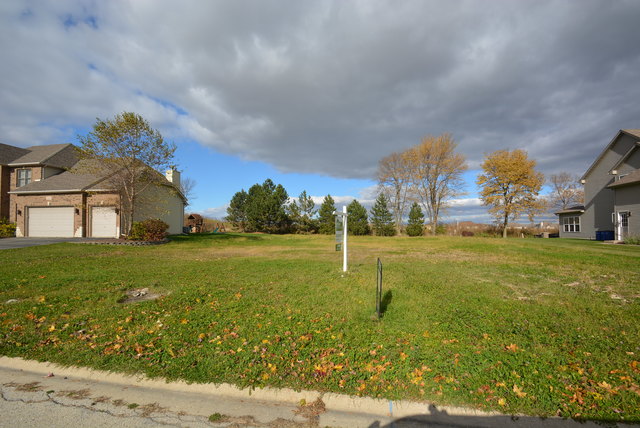 25812 Campbell Ln, Plainfield, IL 60544 photo 5
