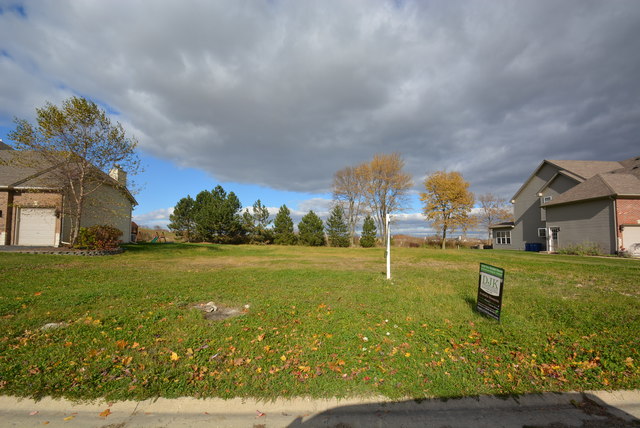 25812 Campbell Ln, Plainfield, IL 60544 photo 4