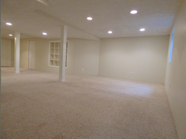 468 Smoketree Ln, Bartlett, IL 60103 photo 13