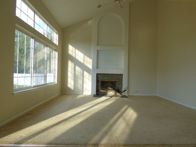468 Smoketree Ln, Bartlett, IL 60103 photo 7