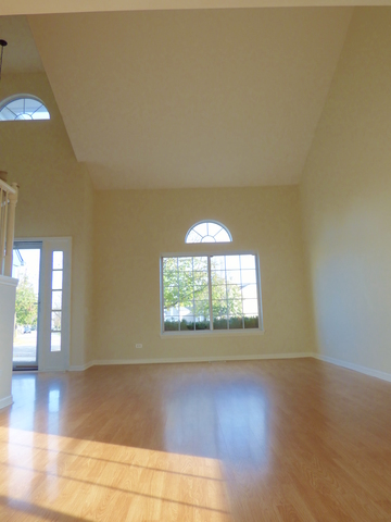 468 Smoketree Ln, Bartlett, IL 60103 photo 4