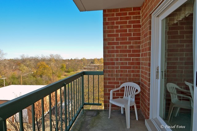 545 S River Rd #606, Des Plaines, IL 60016 photo 14