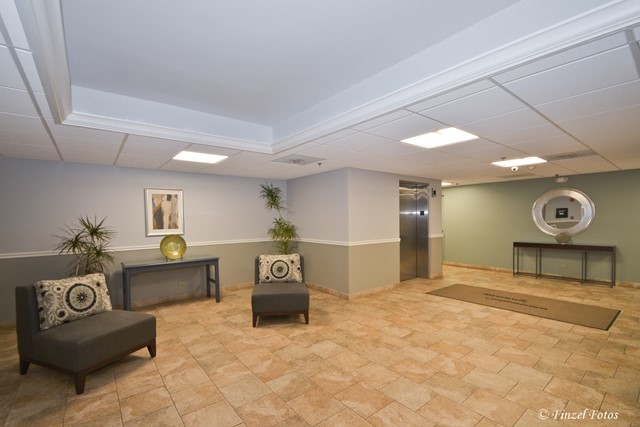 545 S River Rd #606, Des Plaines, IL 60016 photo 16