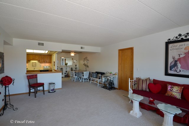 545 S River Rd #606, Des Plaines, IL 60016 photo 5