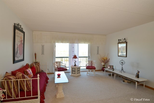 545 S River Rd #606, Des Plaines, IL 60016 photo 3
