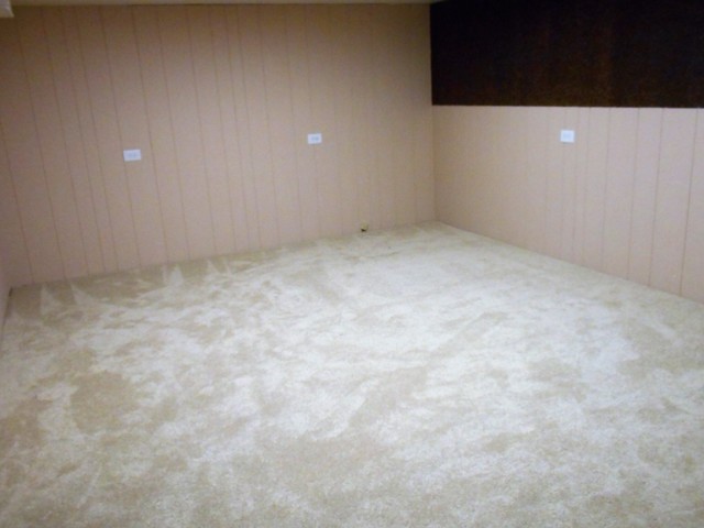 800 Spring St, Roselle, IL 60172 photo 22