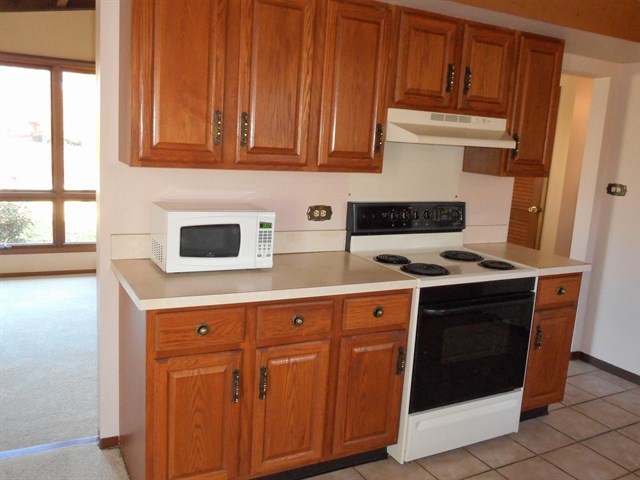 800 Spring St, Roselle, IL 60172 photo 9