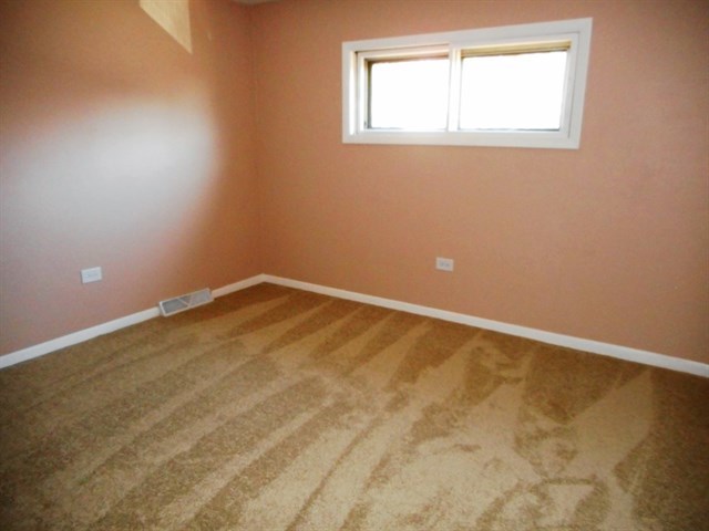 800 Spring St, Roselle, IL 60172 photo 15