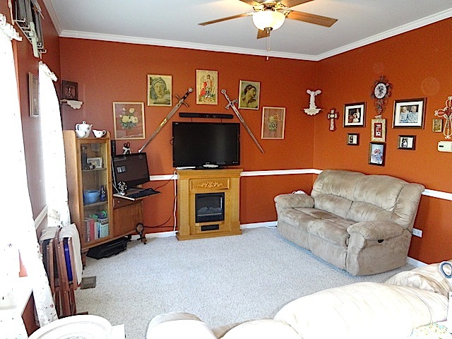 317 Gregory Ln, Plano, IL 60545 photo 9