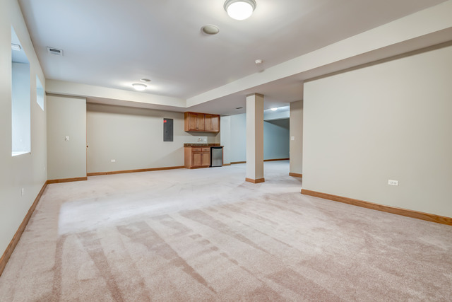 1739 Elyse Ln, Naperville, IL 60565 photo 21