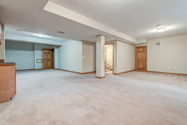 1739 Elyse Ln, Naperville, IL 60565 photo 10
