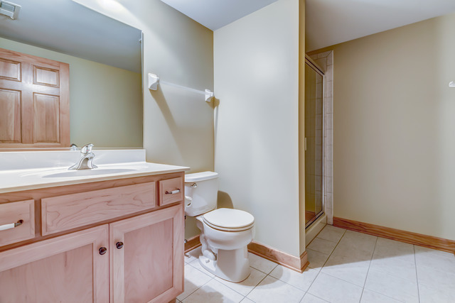 1739 Elyse Ln, Naperville, IL 60565 photo 20