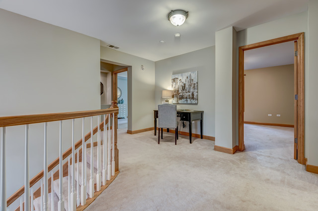 1739 Elyse Ln, Naperville, IL 60565 photo 15