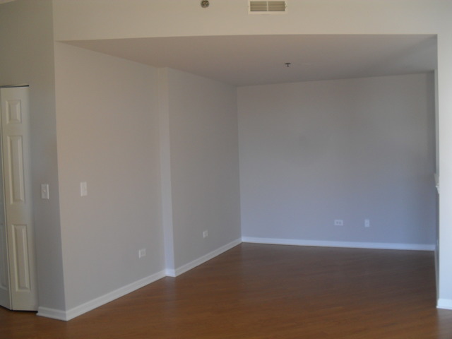 3100 Town Square Dr #305, Rolling Meadows, IL 60008 photo 12