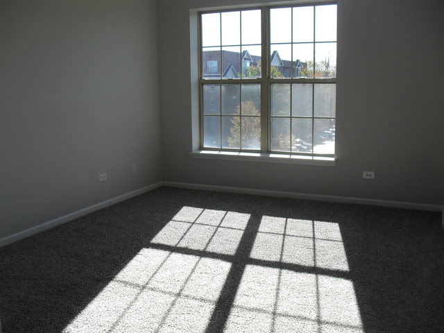3100 Town Square Dr #305, Rolling Meadows, IL 60008 photo 17