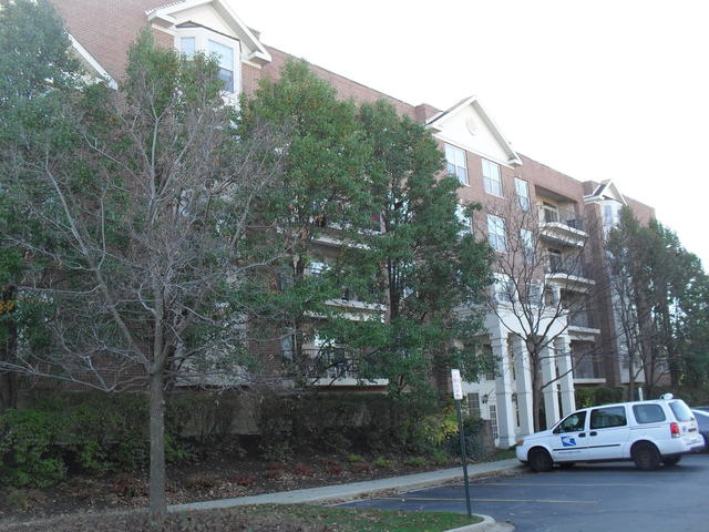 3100 Town Square Dr #305, Rolling Meadows, IL 60008 photo 3