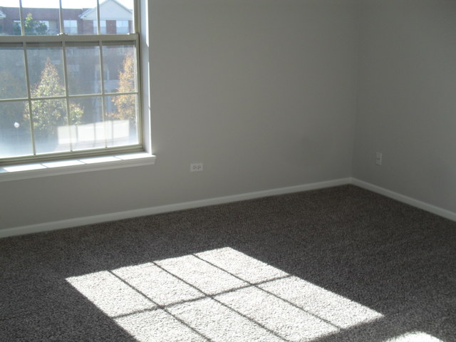 3100 Town Square Dr #305, Rolling Meadows, IL 60008 photo 16