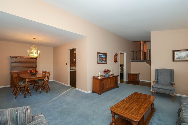 717 E Juniper Dr, Palatine, IL 60074 photo 8