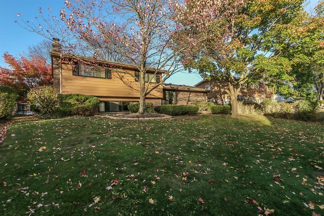 717 E Juniper Dr, Palatine, IL 60074 photo 22