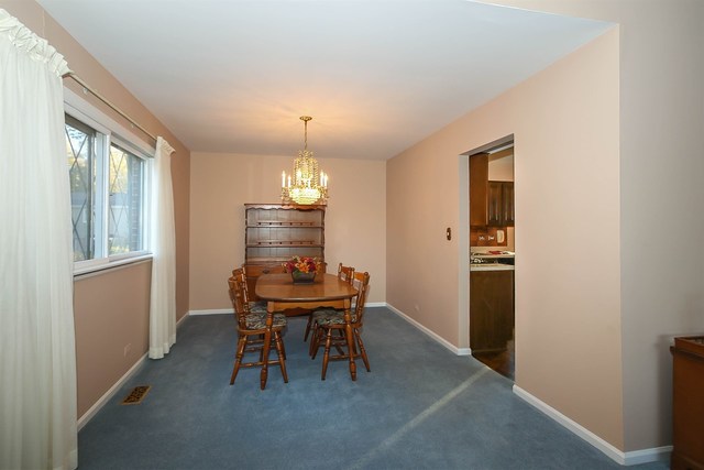 717 E Juniper Dr, Palatine, IL 60074 photo 7