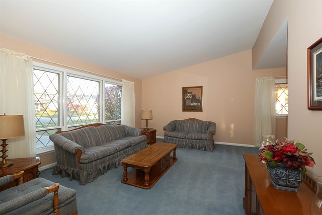 717 E Juniper Dr, Palatine, IL 60074 photo 2