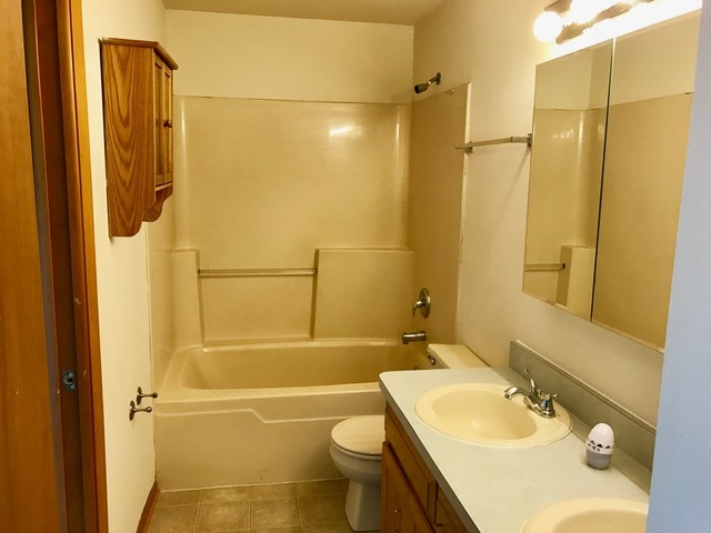 3006 Art Schultz Dr, Plainfield, IL 60586 photo 8