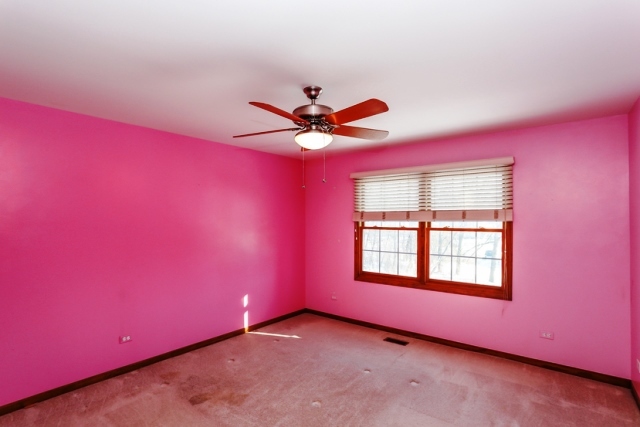 431 Pond View Ln, Bartlett, IL 60103 photo 18