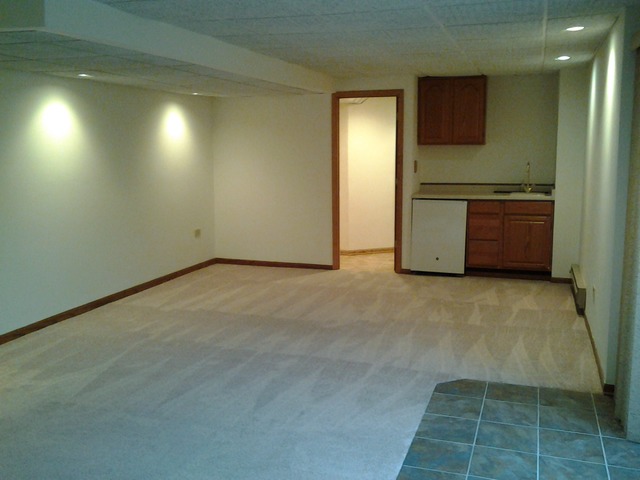 1611 Far Hills Dr, Bartlett, IL 60103 photo 21