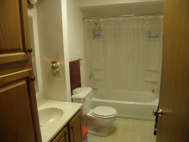 133 Pack Ct, Morris, IL 60450 photo 6