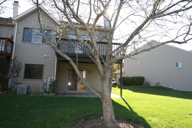 23130 Judith Ct, Plainfield, IL 60586 photo 2