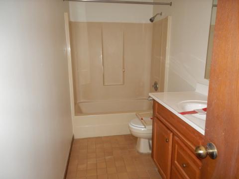 12900 E Playfield Dr, Crestwood, IL 60445 photo 14